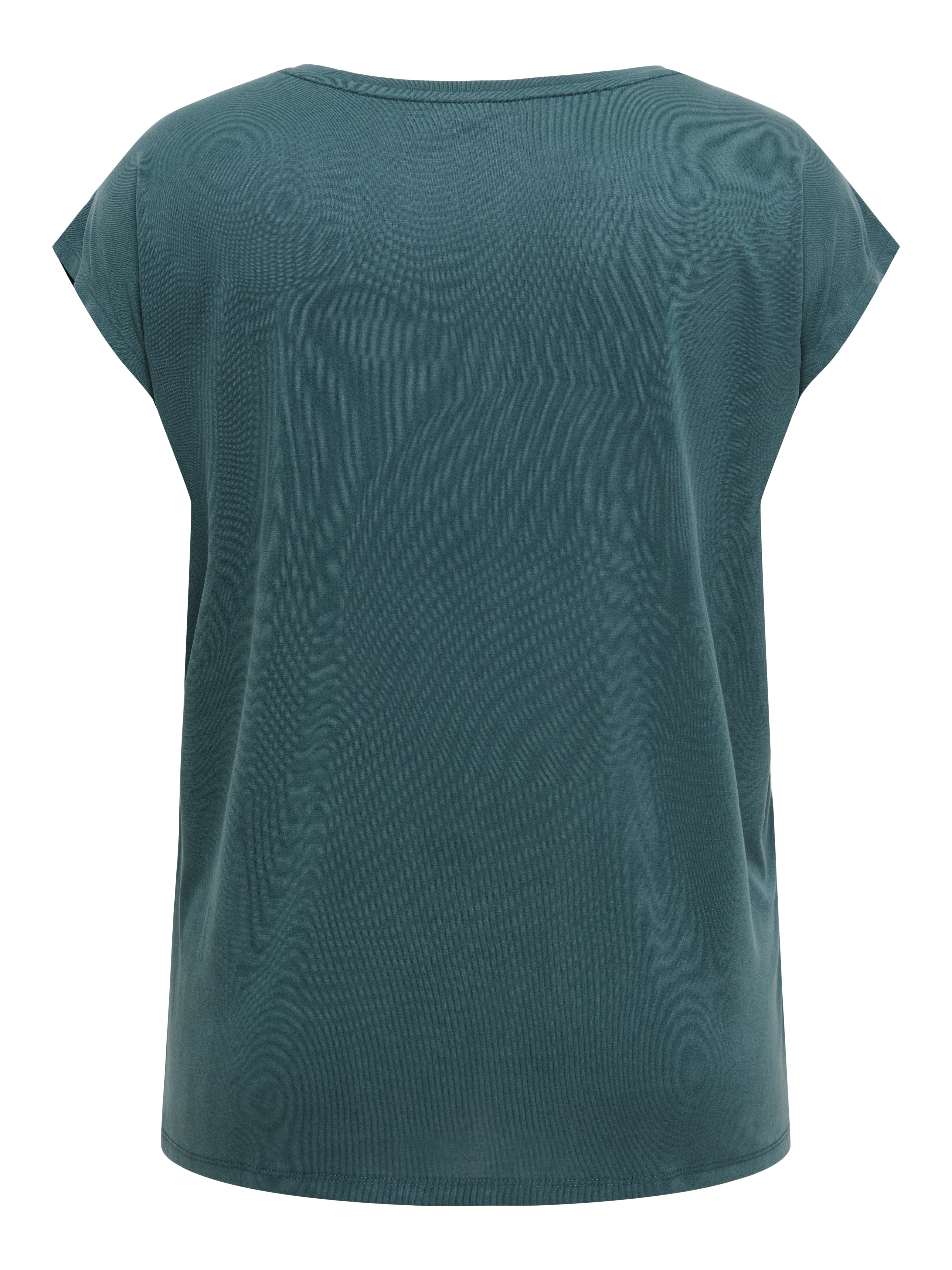 Thumbnail - Carnicky Modal Top