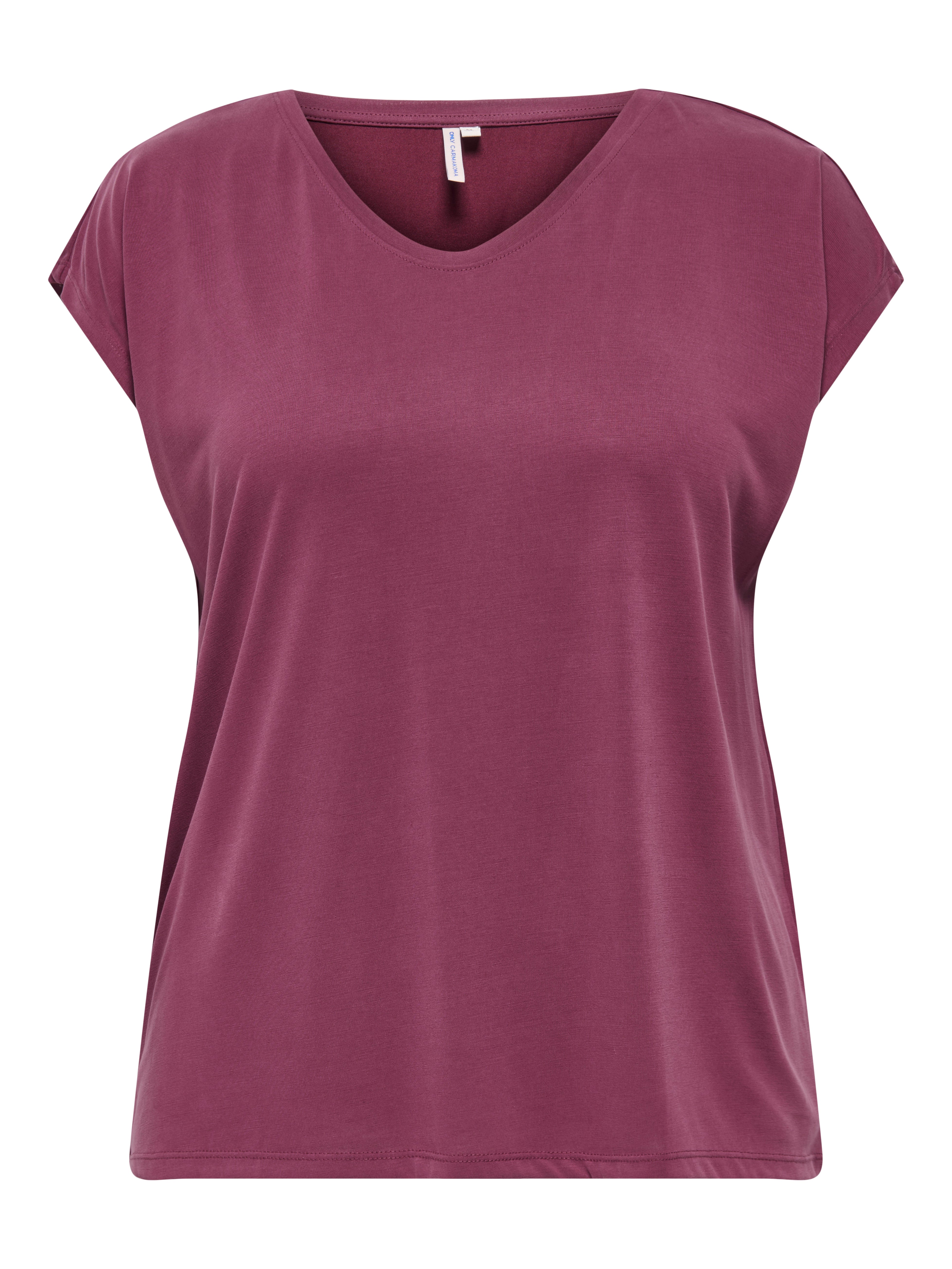 Thumbnail - Carnicky Modal Top