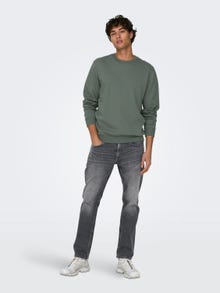 ONLY & SONS Sweat-shirt Regular Fit Col rond -Castor Gray - 22018683