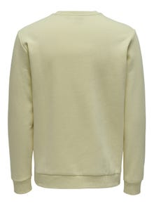 ONLY & SONS Sweat-shirt Regular Fit Col rond -Pelican - 22018683