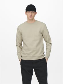 ONLY & SONS Sweat-shirt Regular Fit Col rond -Pelican - 22018683