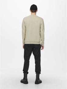 ONLY & SONS Sweat-shirt Regular Fit Col rond -Pelican - 22018683