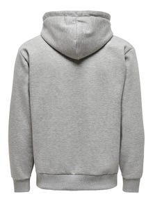 ONLY & SONS Sweat-shirt Regular Fit Sweat à capuche -Light Grey Melange - 22018685