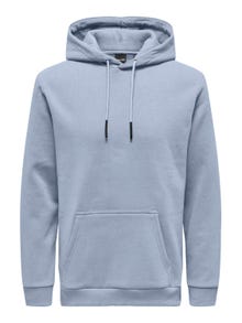 ONLY & SONS Sweat-shirt Regular Fit Sweat à capuche -Eventide - 22018685