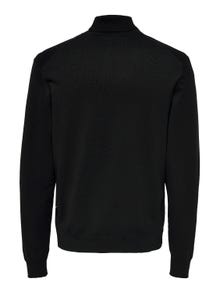 ONLY & SONS Normal geschnitten Rollkragen Pullover -Black - 22020879