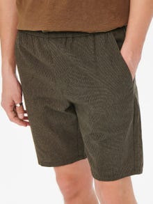 ONLY & SONS Avsmalnande passform Medelhög midja Shorts -Black - 22022524