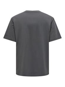 ONLY & SONS Avar lõige Ümmargune kaelus T-särk -Grey Pinstripe - 22022532