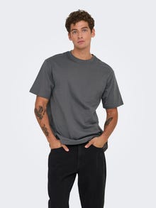 ONLY & SONS ONSFRED T-shirt -Grey Pinstripe - 22022532