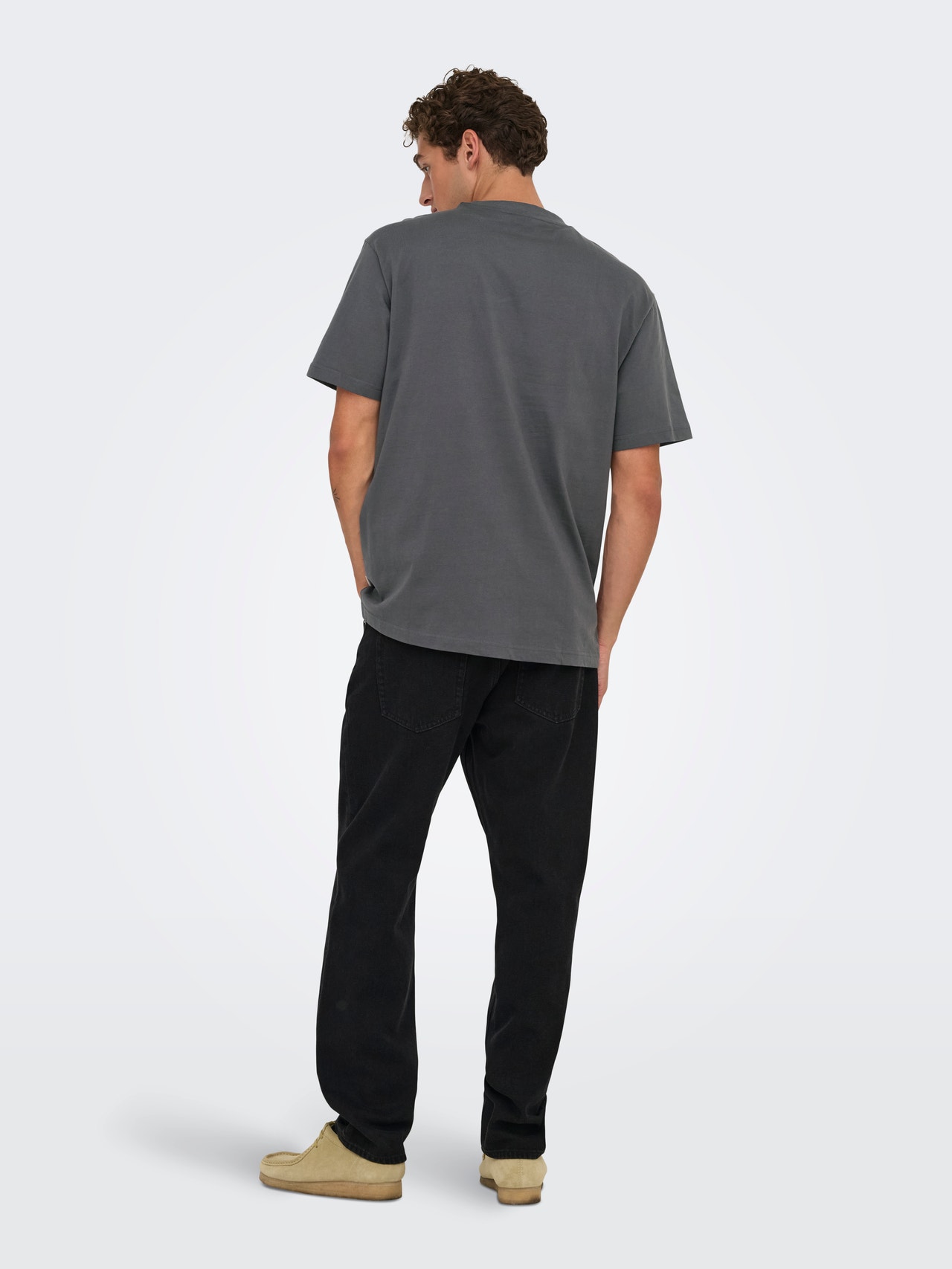 ONLY & SONS ONSFRED T-shirt -Grey Pinstripe - 22022532