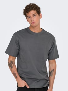 ONLY & SONS Avar lõige Ümmargune kaelus T-särk -Grey Pinstripe - 22022532