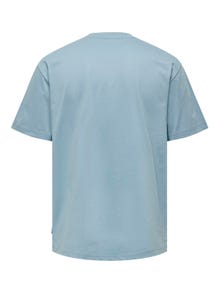 ONLY & SONS Relaxed fit O-hals T-shirts -Glacier Lake - 22022532