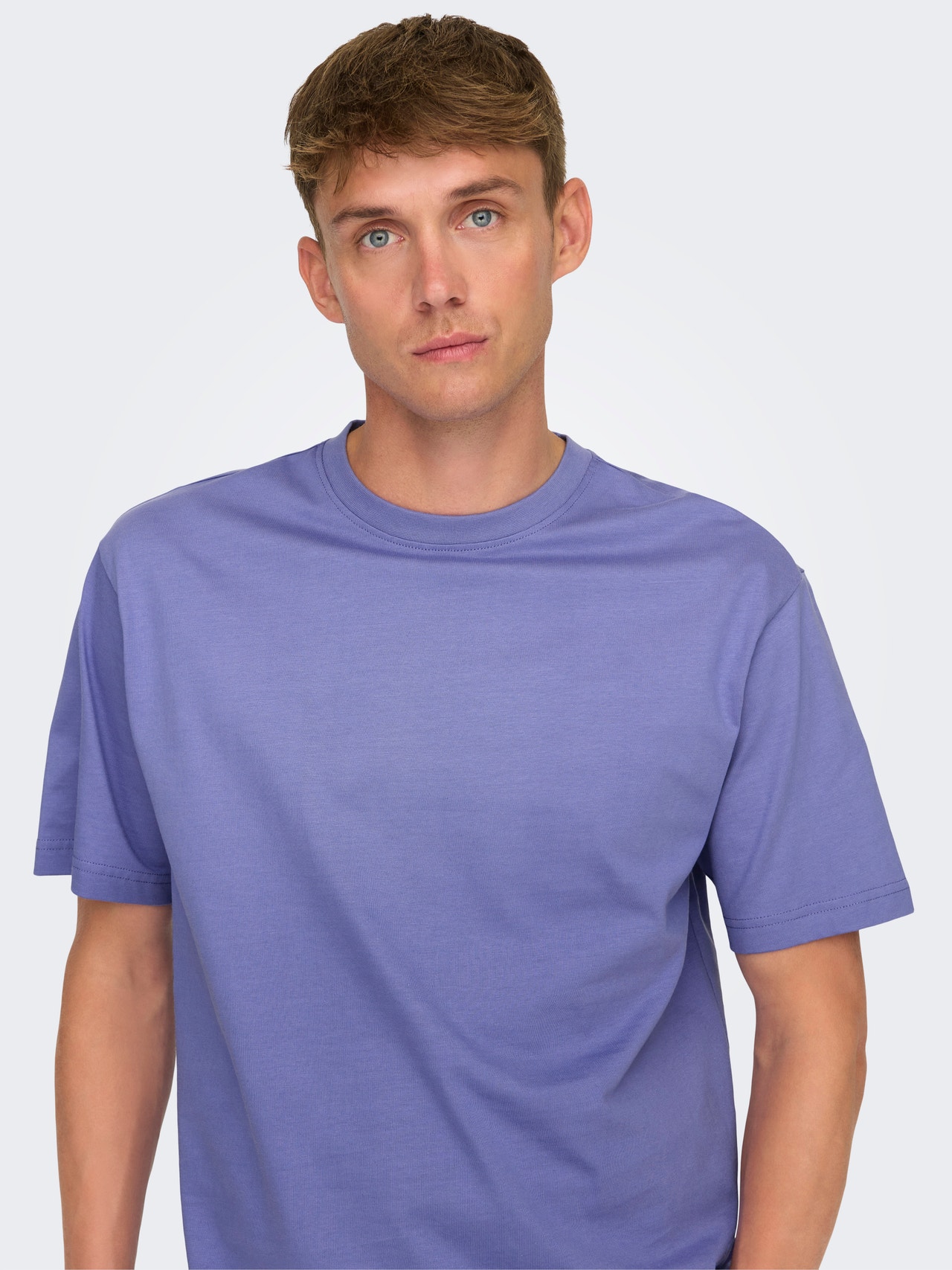 ONLY & SONS Relaxed Fit Round Neck T-Shirt -Dusted Peri - 22022532