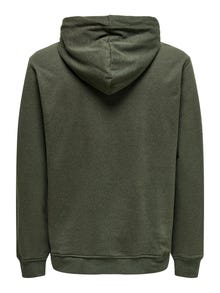 ONLY & SONS Normal geschnitten Kapuze Sweatshirt -Rosin - 22023842