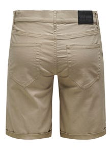 ONLY & SONS Normal geschnitten Shorts -Chinchilla - 22024451