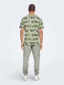 ONLY & SONS Normal geschnitten Rundhals T-Shirt -Alfalfa - 22024773