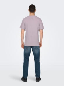 ONLY & SONS T-shirts Regular Fit Col rond -Nirvana - 22025208