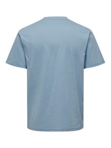 ONLY & SONS Normal passform O-ringning T-shirt -Glacier Lake - 22025208