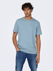 ONLY & SONS Normal passform O-ringning T-shirt -Glacier Lake - 22025208