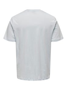 ONLY & SONS Normal geschnitten Rundhals T-Shirt -Plein Air - 22026084