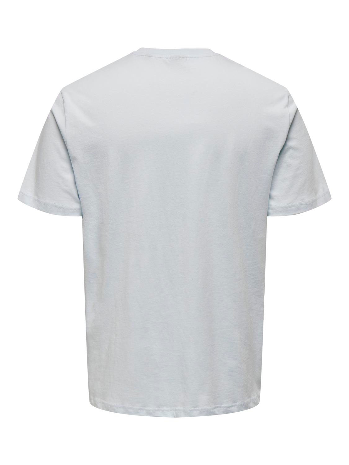 ONLY & SONS Regular Fit Round Neck T-Shirt -Plein Air - 22026084