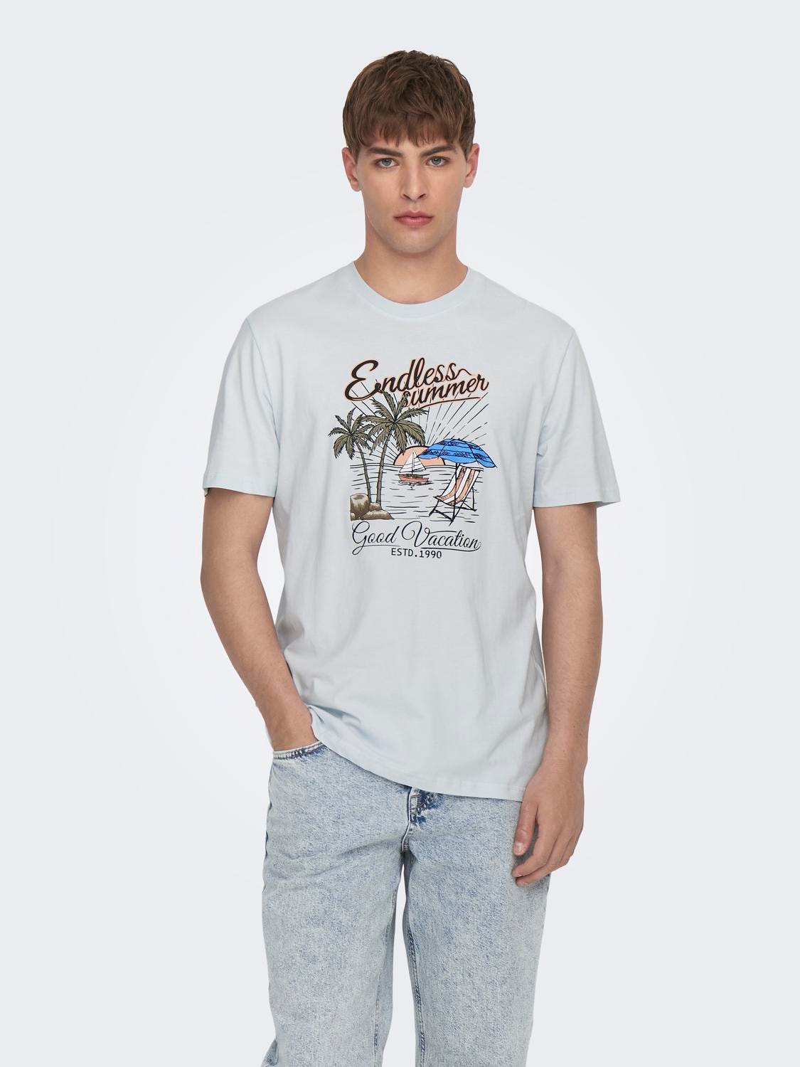 ONLY & SONS Regular Fit Round Neck T-Shirt -Plein Air - 22026084