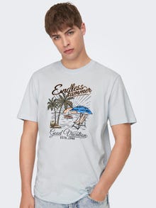 ONLY & SONS Normal passform O-ringning T-shirt -Plein Air - 22026084