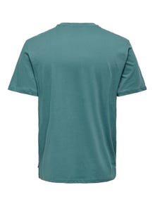 ONLY & SONS Normal geschnitten Rundhals T-Shirt -Hydro - 22026084