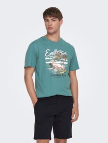 ONLY & SONS Normal passform O-ringning T-shirt -Hydro - 22026084