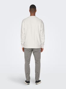 ONLY & SONS Regular Fit Hoodie Sweatshirt -Cloud Dancer - 22026376