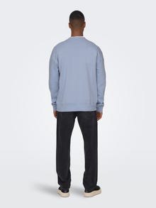 ONLY & SONS Normal geschnitten Kapuze Sweatshirt -Eventide - 22026376