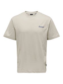 ONLY & SONS Relaxed Fit Round Neck T-Shirt -Silver Lining - 22026424
