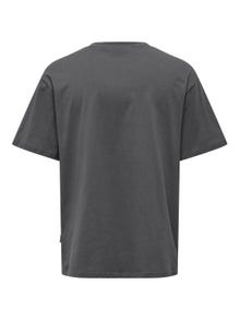ONLY & SONS Avslappnad O-ringning Boxärmar T-shirt -Grey Pinstripe - 22027946
