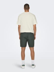 ONLY & SONS Regular fit Shorts -Balsam Green - 22027949