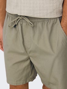ONLY & SONS ONSTEL Regular Fit Shorts -Coriander - 22027949