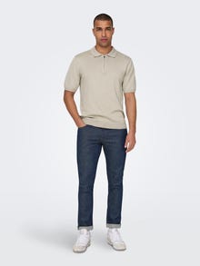 ONLY & SONS Regular Fit Polo Pullover -Silver Lining - 22028606