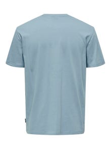 ONLY & SONS Regular Fit Round Neck T-Shirt -Mountain Spring - 22028688