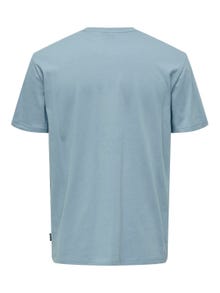 ONLY & SONS T-shirts Regular Fit Col rond -Mountain Spring - 22028688