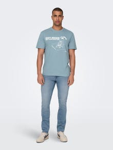 ONLY & SONS Regular Fit Round Neck T-Shirt -Mountain Spring - 22028688