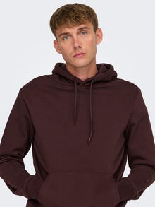 ONLY & SONS Tavapärane lõige Kapuuts Dressipluusid -Fudge - 22029225