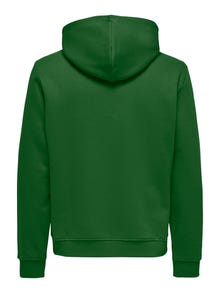 ONLY & SONS ONSCONNOR Sweatshirt -Formal Garden - 22029225