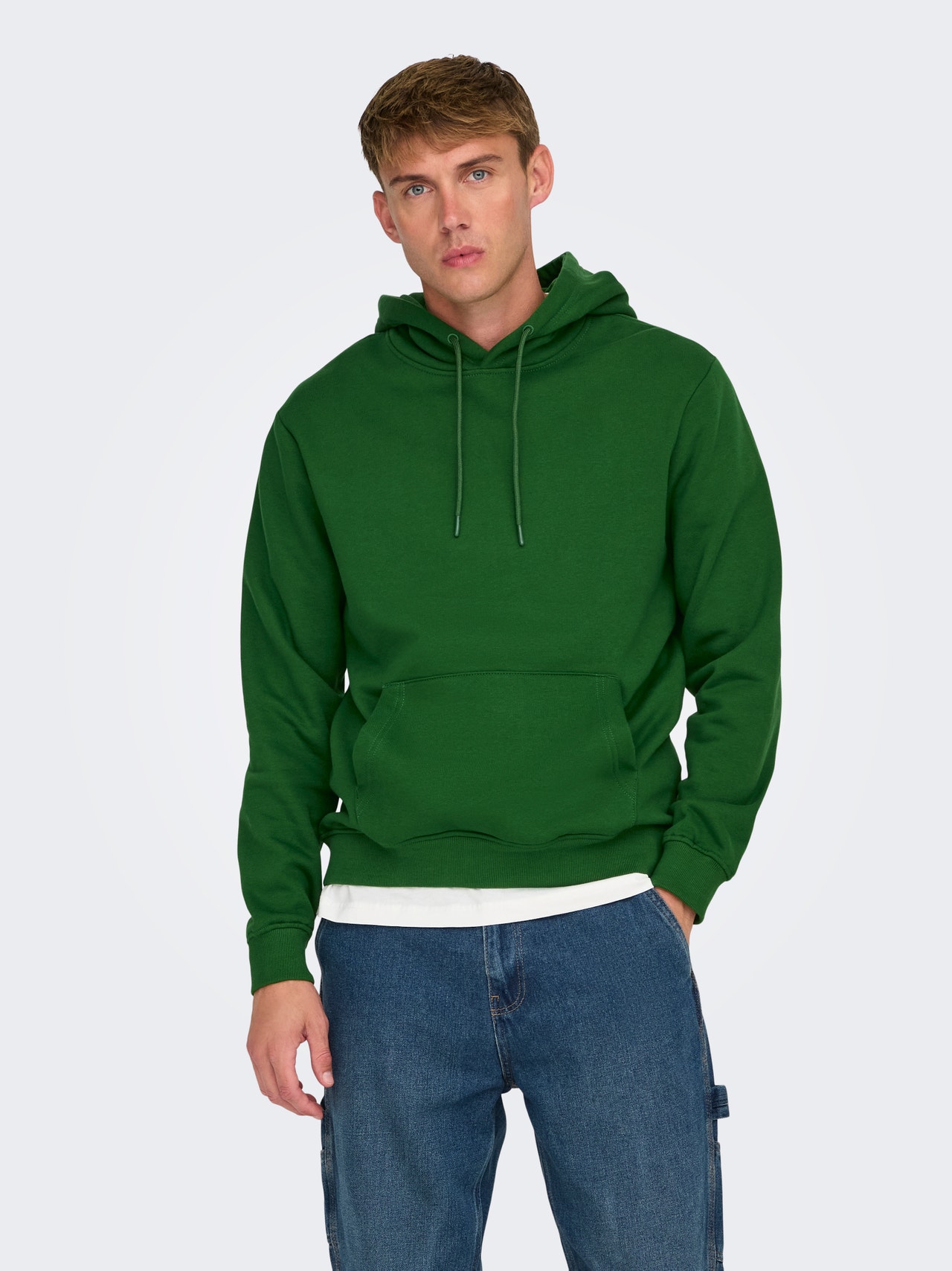 ONLY & SONS ONSCONNOR Sweatshirt -Formal Garden - 22029225