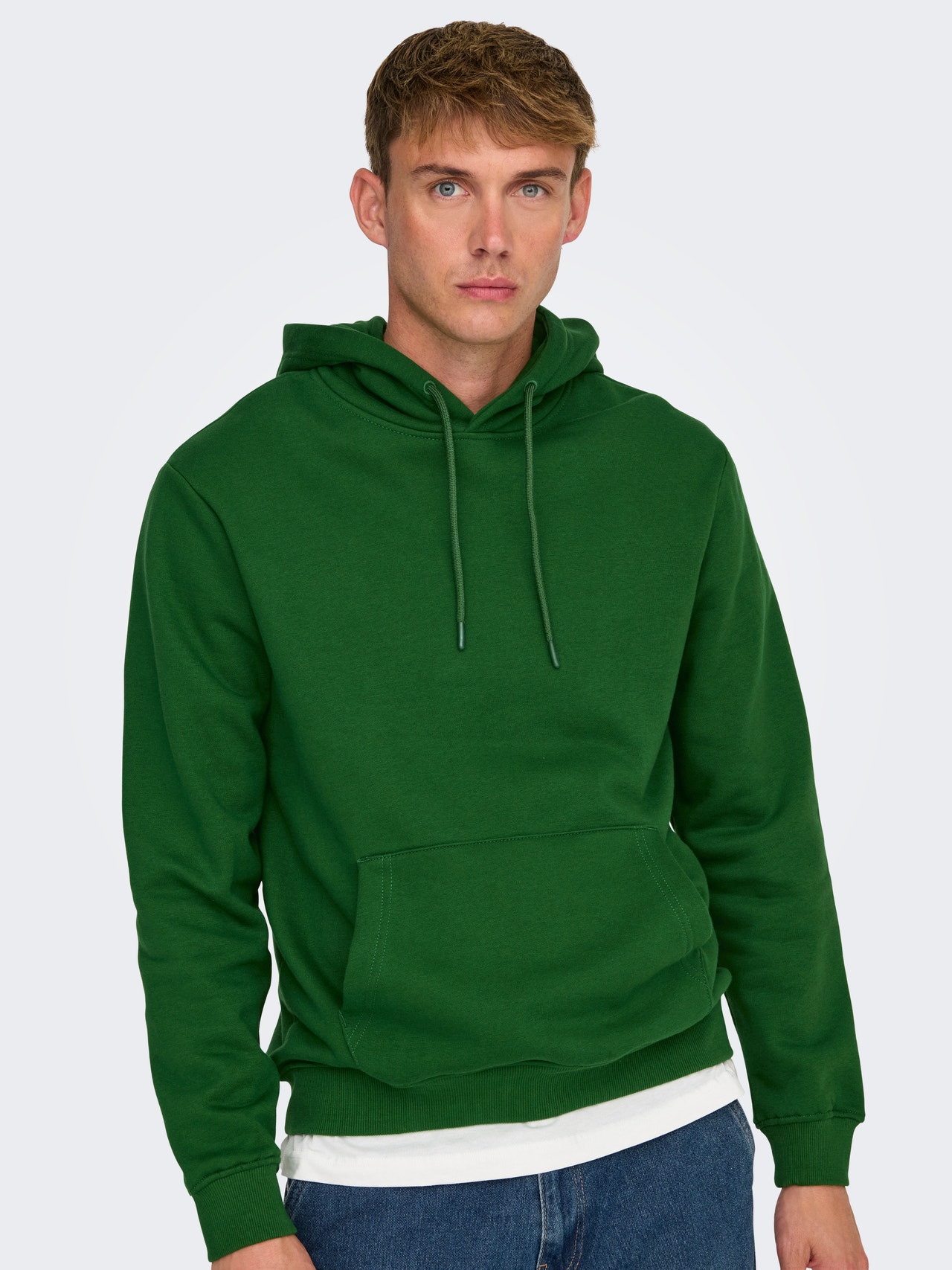 ONLY & SONS ONSCONNOR Sweatshirt -Formal Garden - 22029225