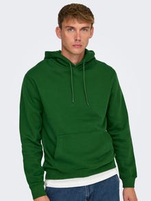 ONLY & SONS ONSCONNOR Sweatshirt -Formal Garden - 22029225