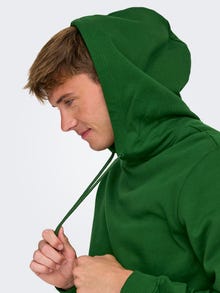 ONLY & SONS ONSCONNOR Sweatshirt -Formal Garden - 22029225