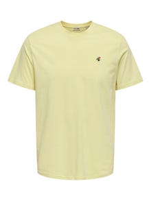 ONLY & SONS ONSKEVIN T-shirt -Flan - 22034326