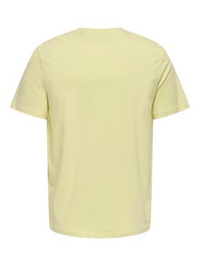 ONLY & SONS ONSKEVIN T-shirt -Flan - 22034326