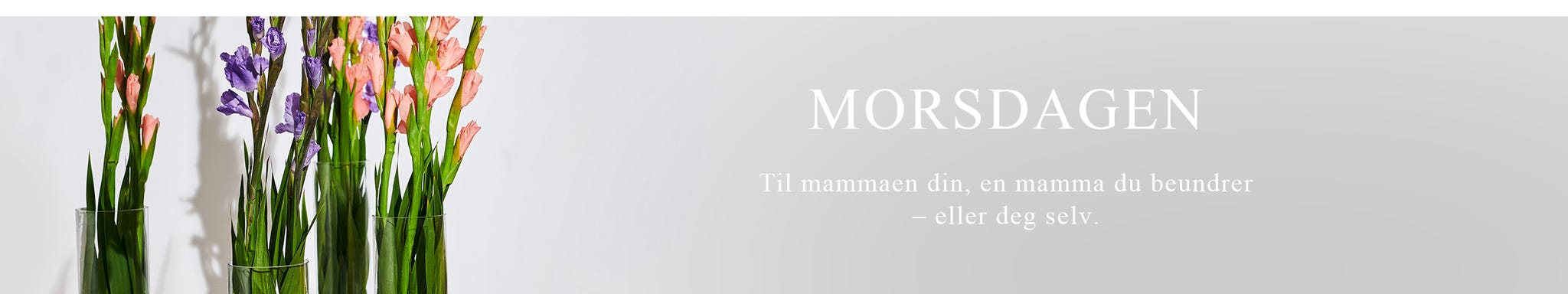 on-catbanner-mother-no.jpg
